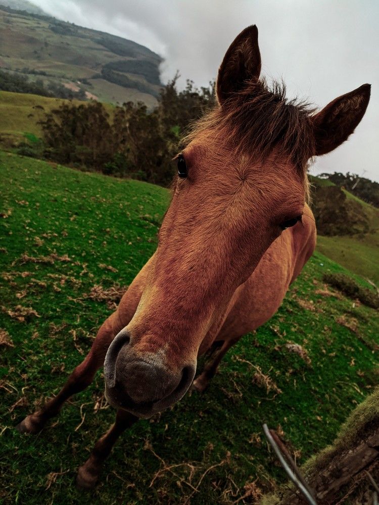 Photograph by Edgar Guillén