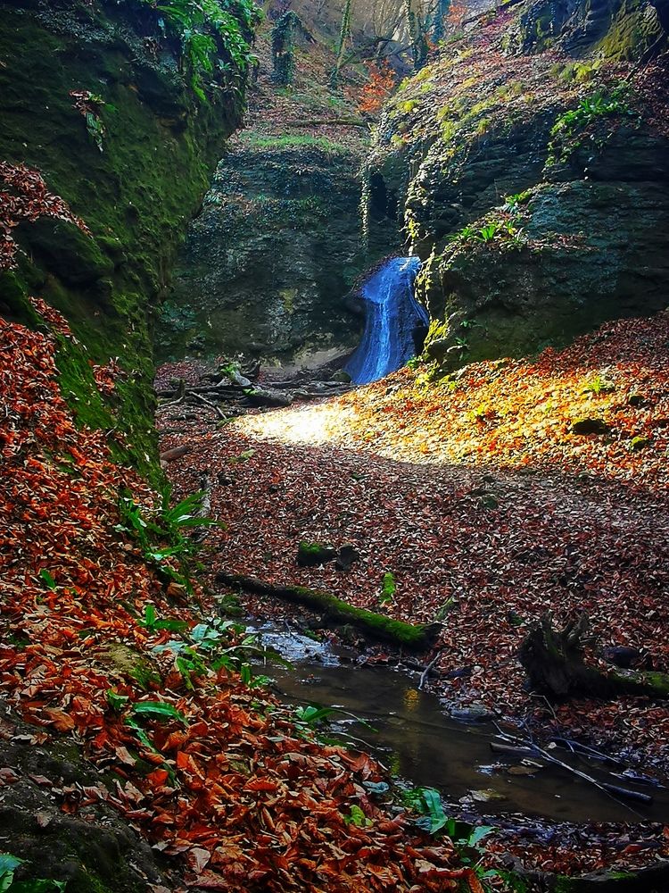 Photograph by Оксана Маракушина