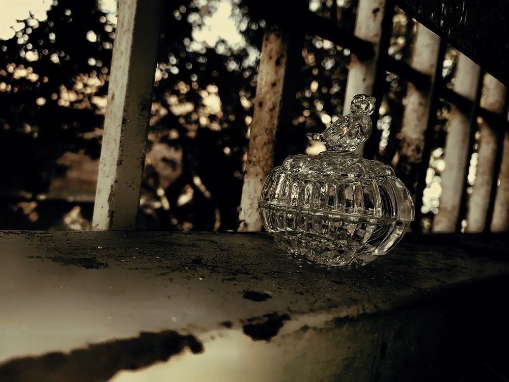 Photograph by Edgar Guillén