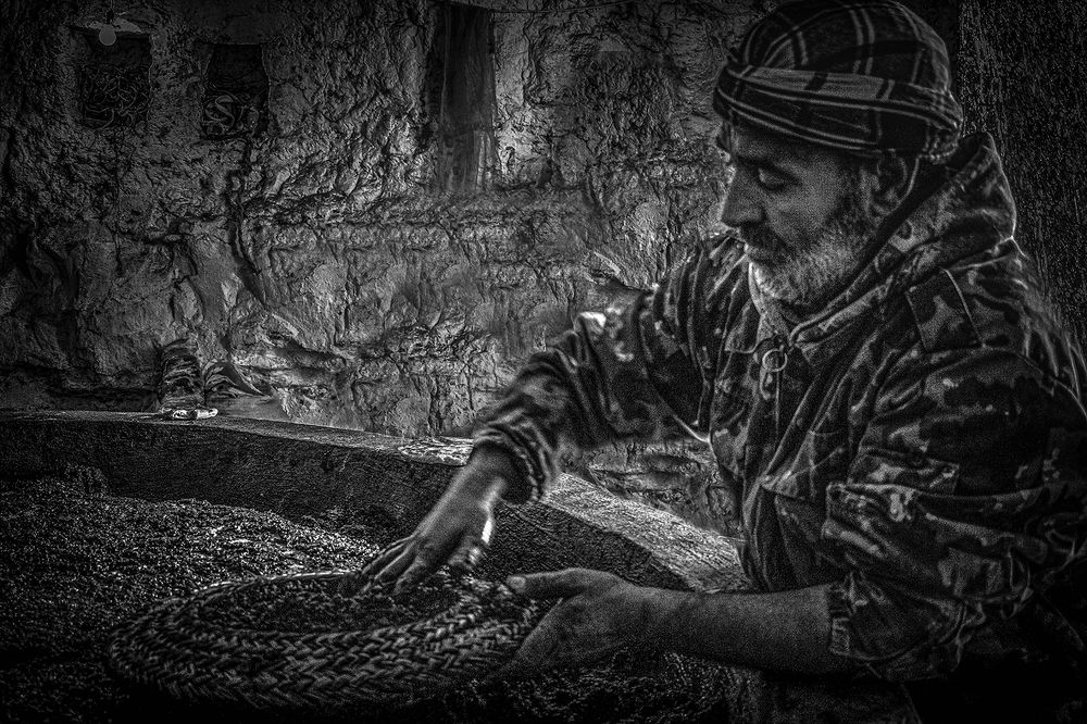 Photograph by Tounekti Abdallah