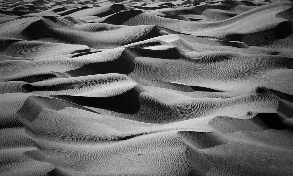 Photograph by Tounekti Abdallah