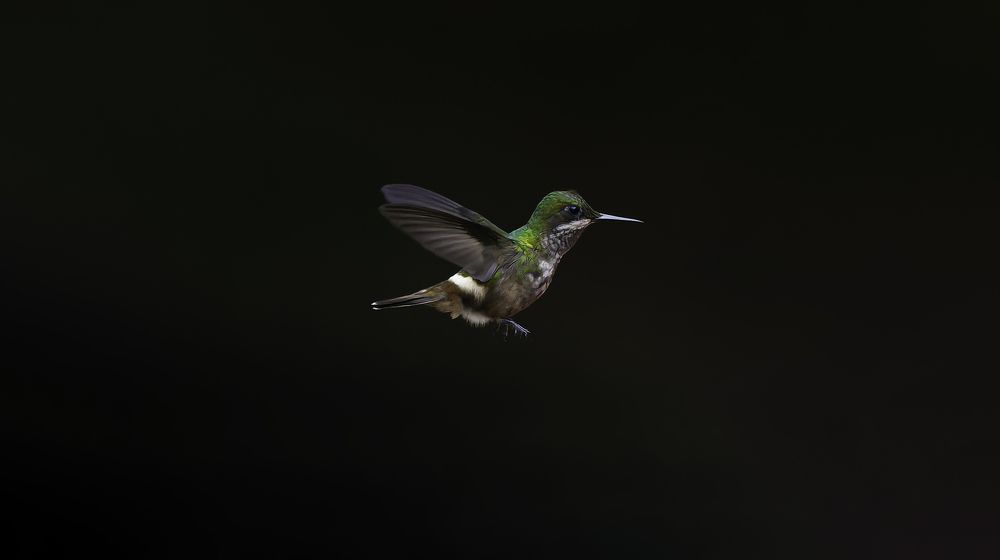 Photograph by Edilene Guerra