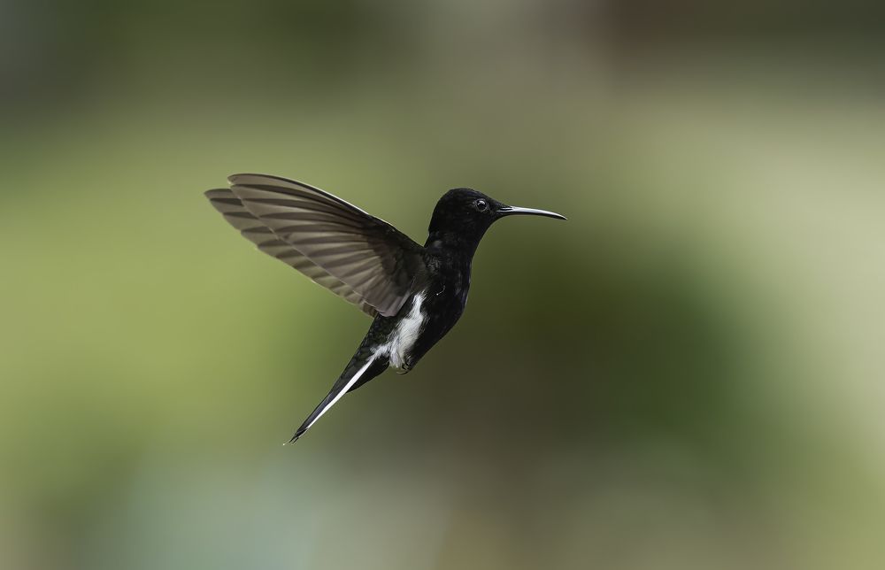 Photograph by Edilene Guerra