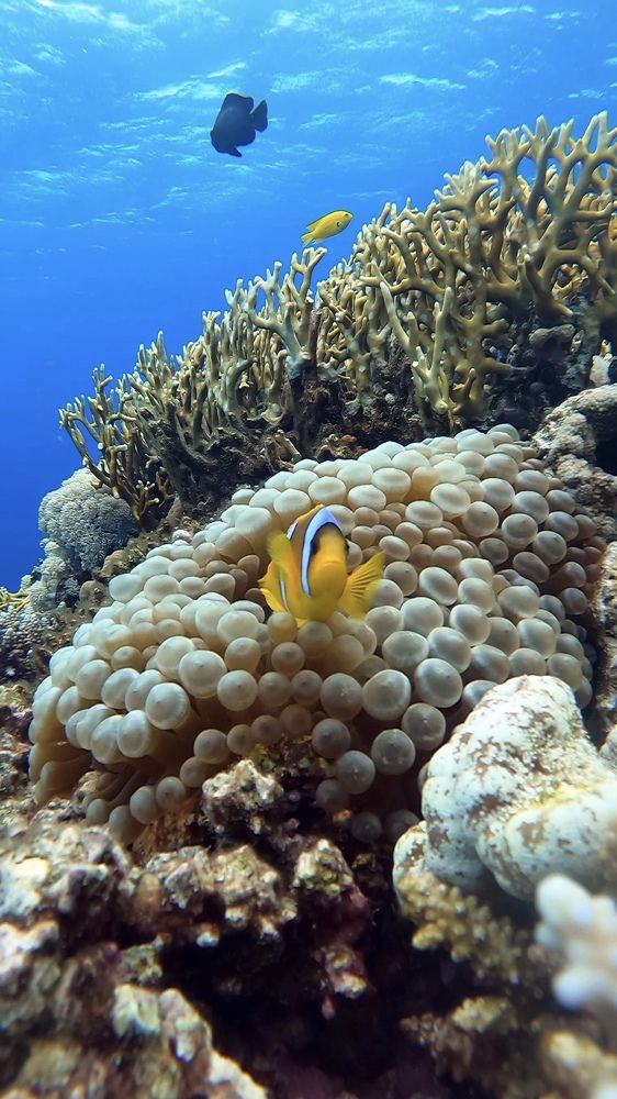 Photograph by Мария Берёзка