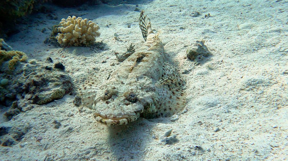 Photograph by Мария Берёзка