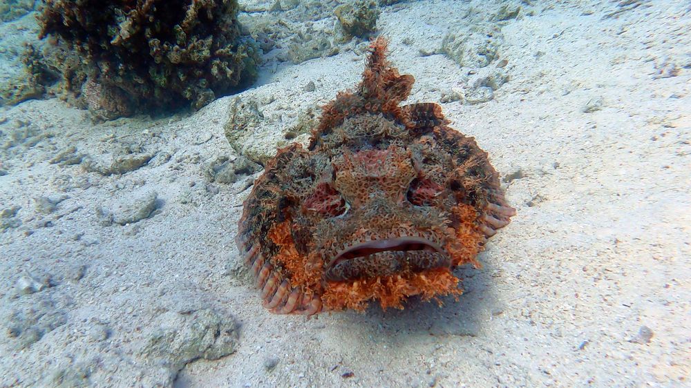 Photograph by Мария Берёзка