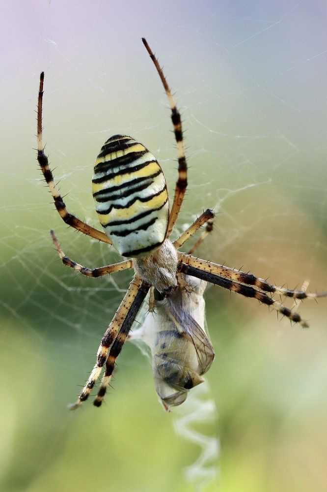 Photograph by Малика Маткарим