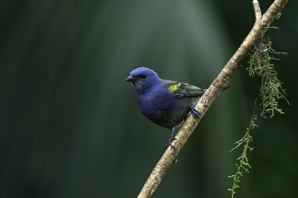 Photograph by Edilene Guerra