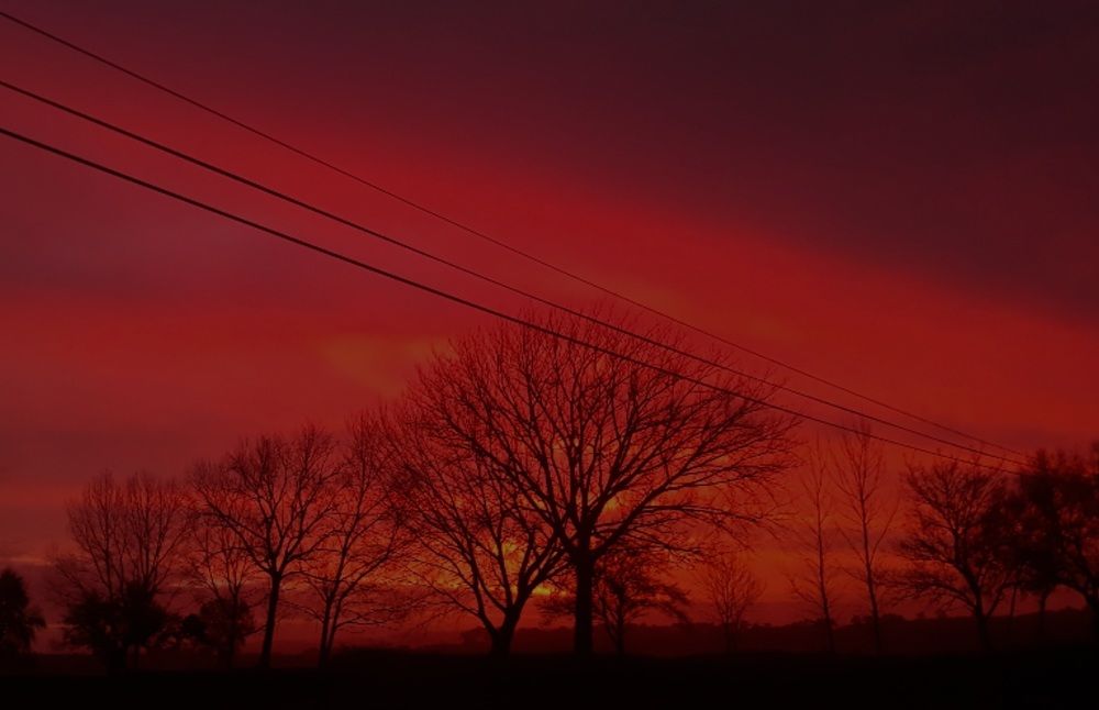 Photograph by Francisco Ferreira