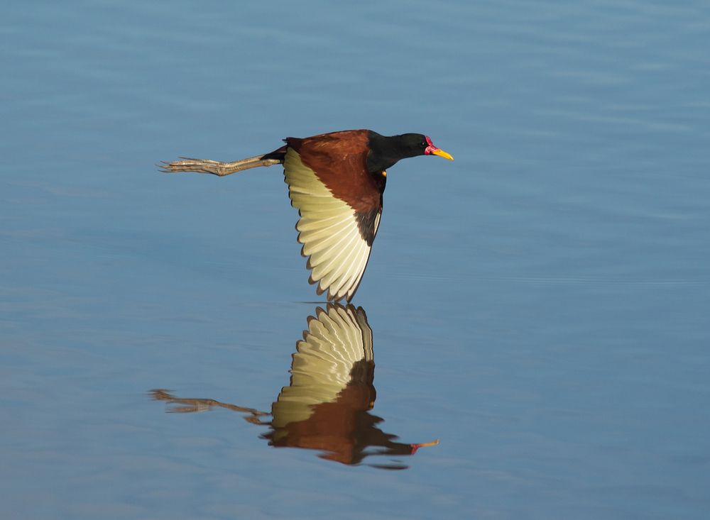 Photograph by Paulo Guerra