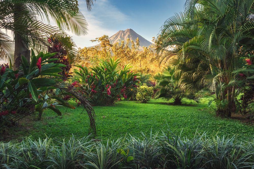 Photograph by Iris Lara