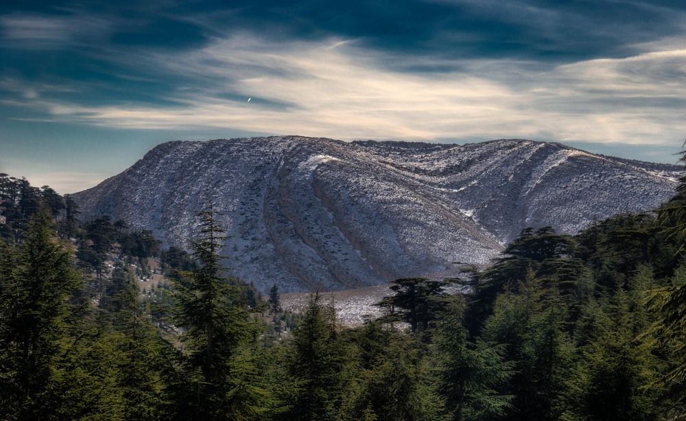 Photograph by Ghammit Fehd