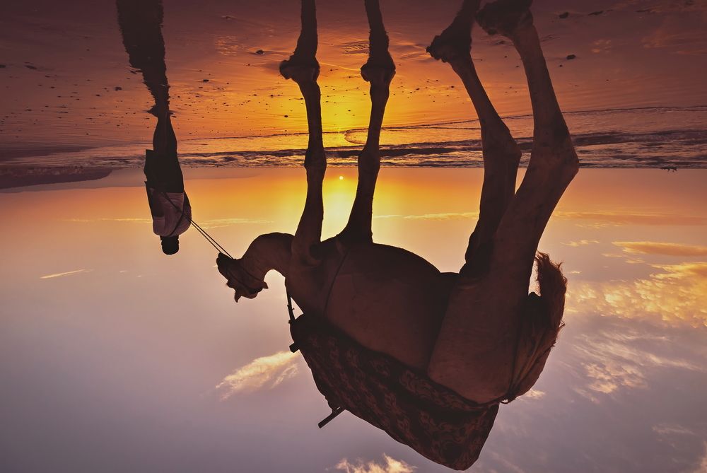 Photograph by AIT AHMED ABDELMAJID