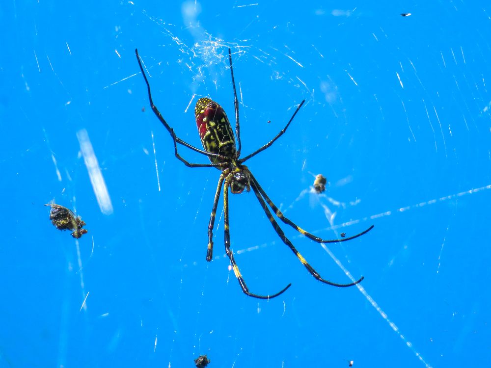 Photograph by Susmita Paul