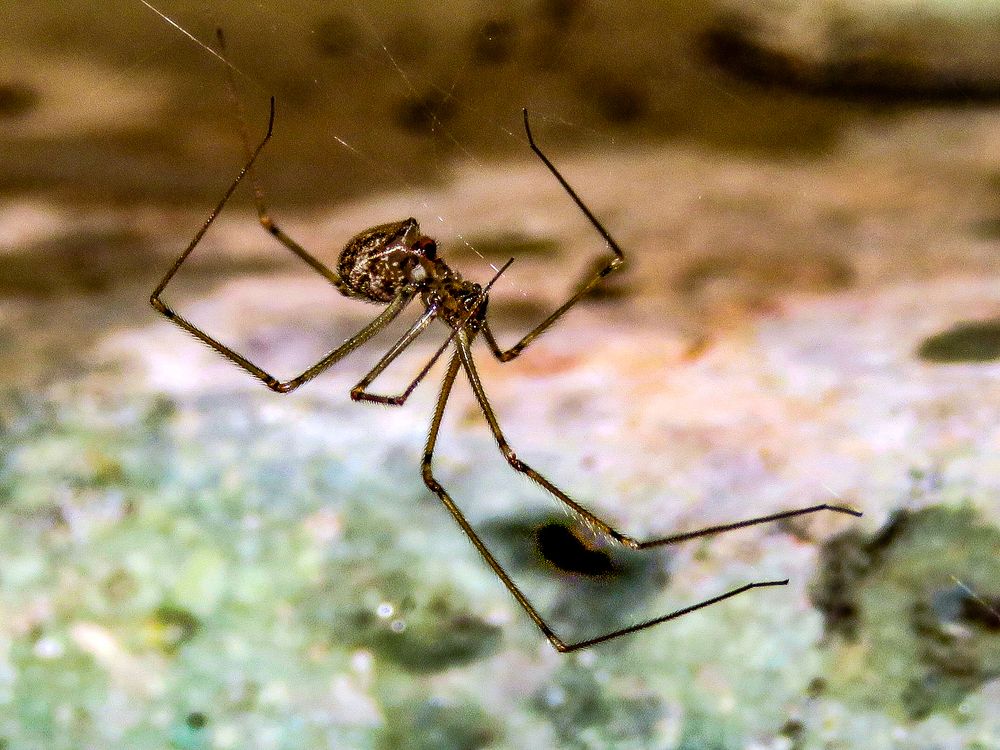 Photograph by Susmita Paul