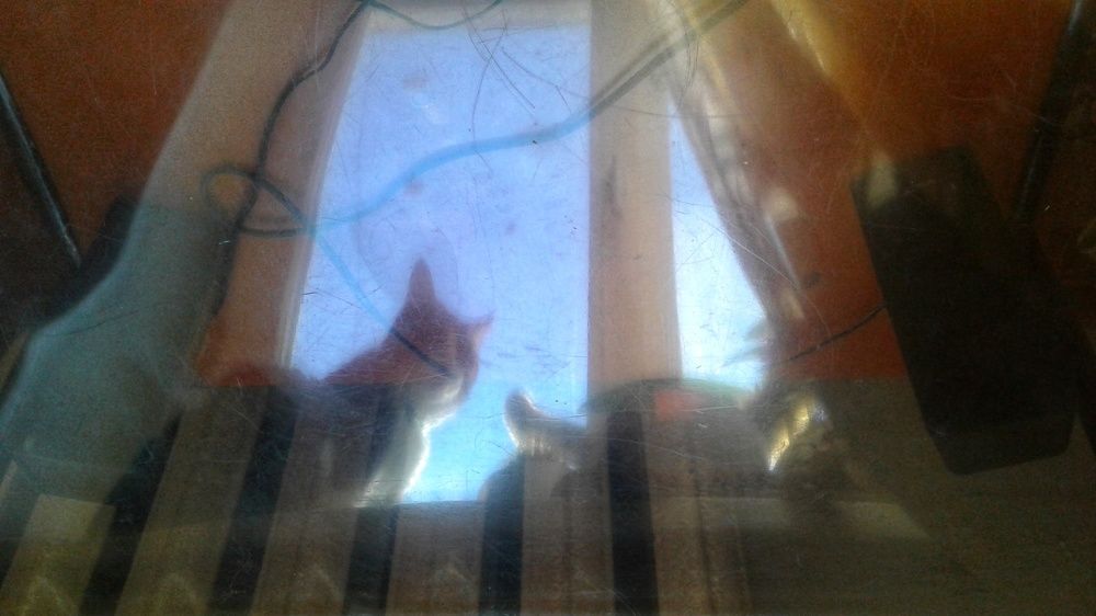 Photograph by Юлия Лихачева