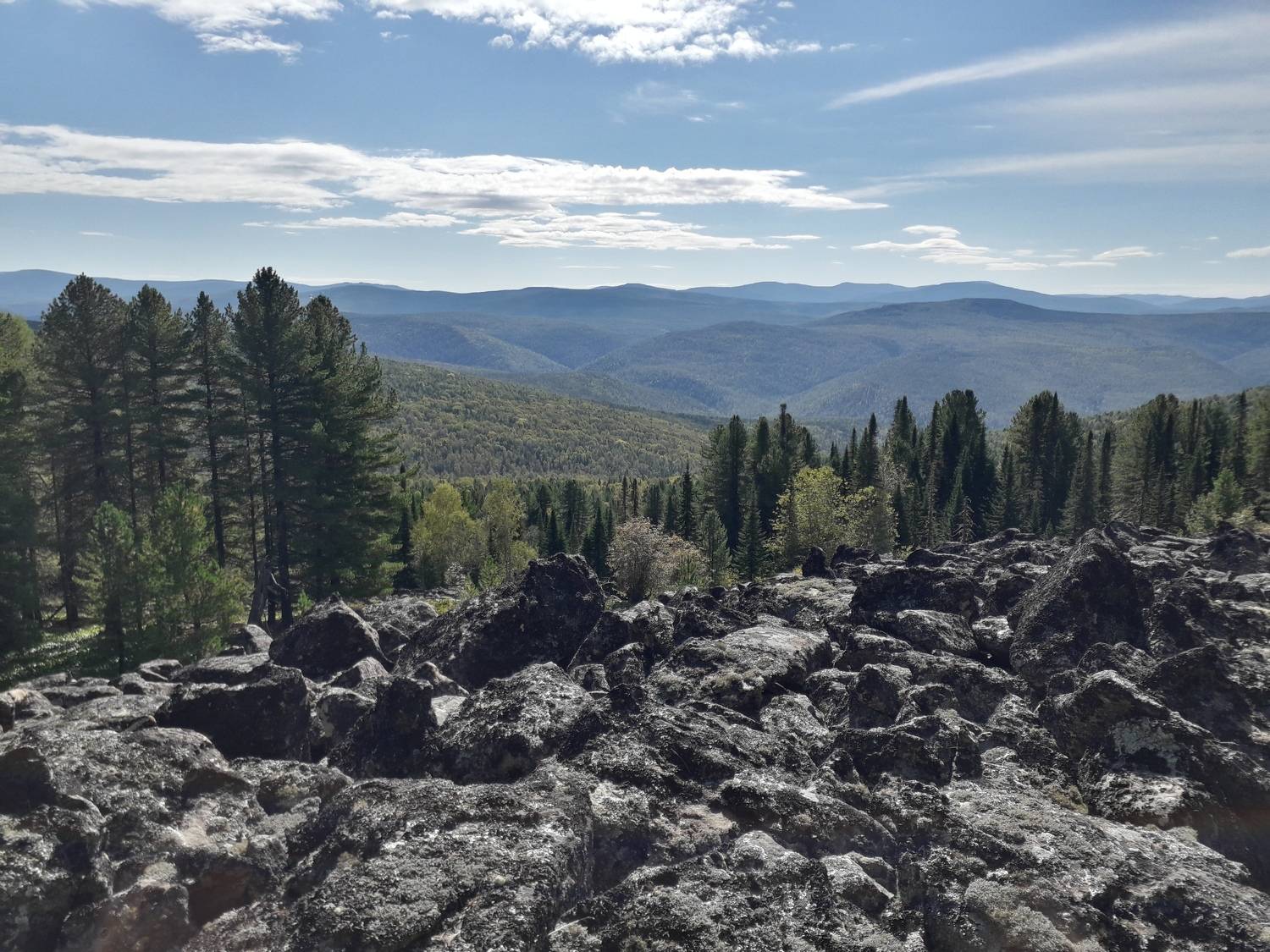 Photo #6958503