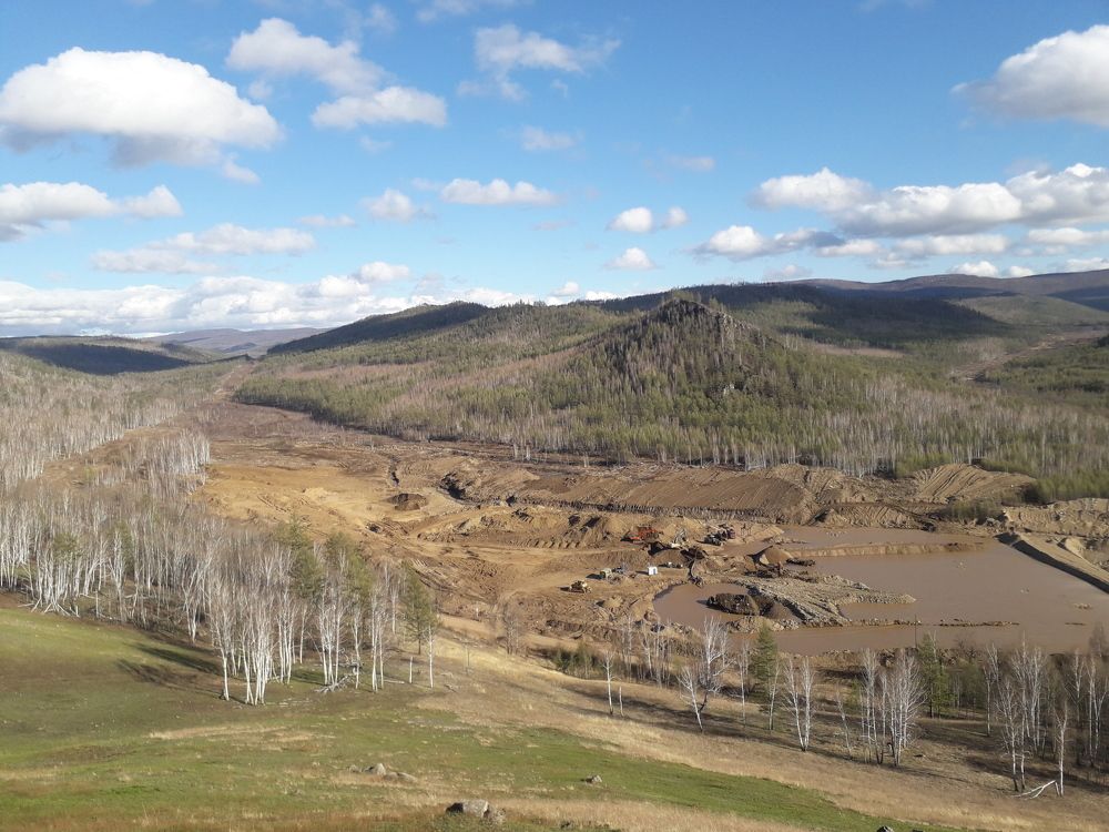 Photo #6958507