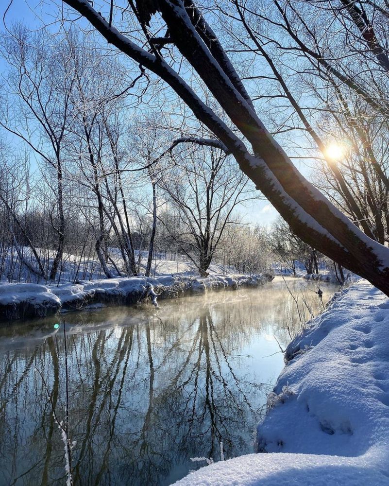 Photograph by Светлана Поляничева