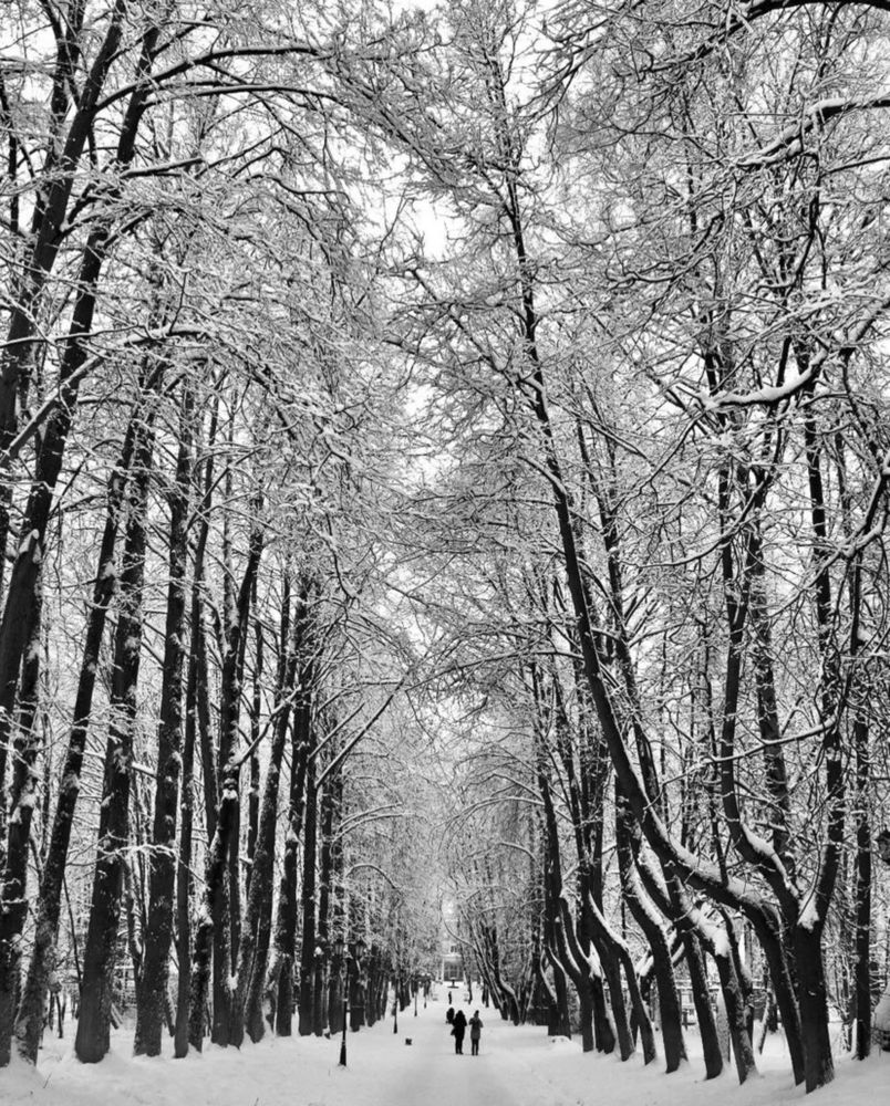 Photograph by Светлана Поляничева