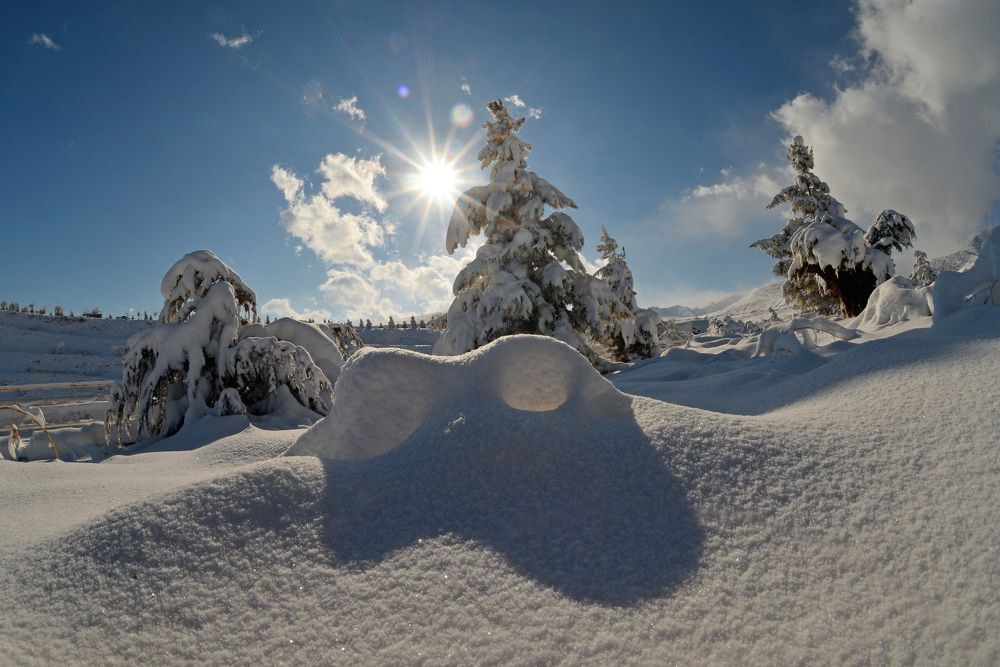 Фотография автора Игорь Ломов
