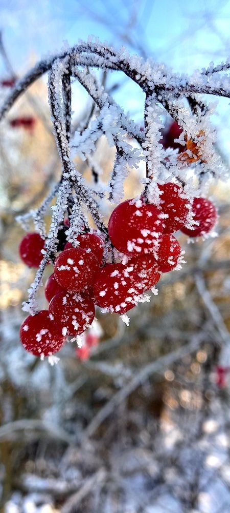 Photograph by Вероника Яшина