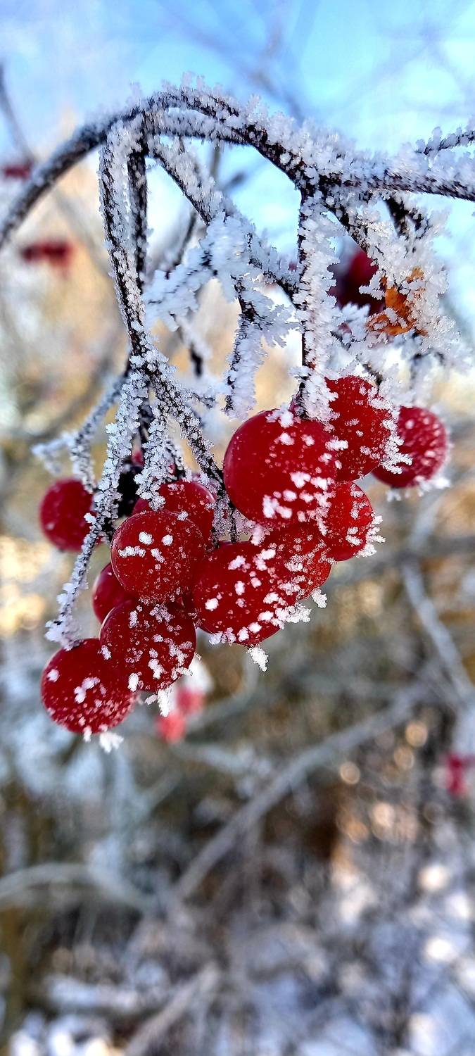 Photo #6958522