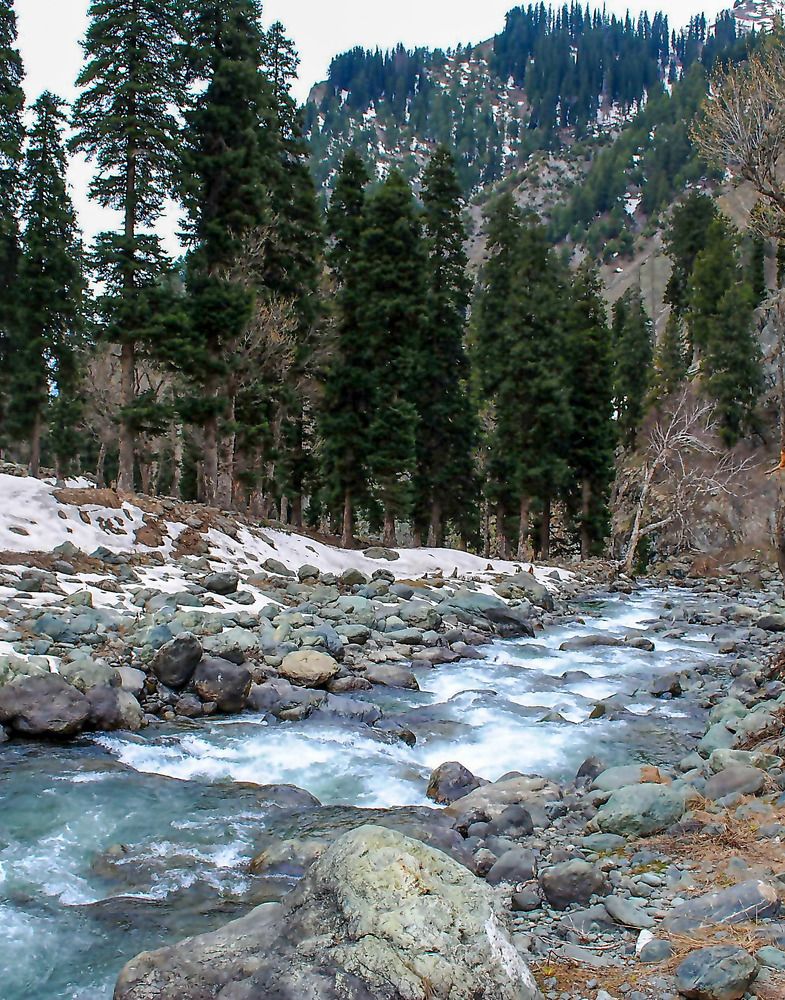 Photograph by Kamal Bhattacharjya