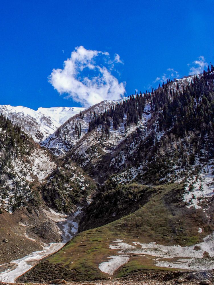 Photograph by Kamal Bhattacharjya