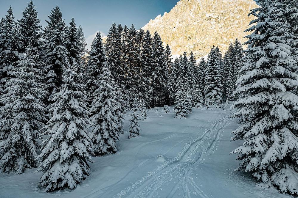 Photograph by Elena Gebert