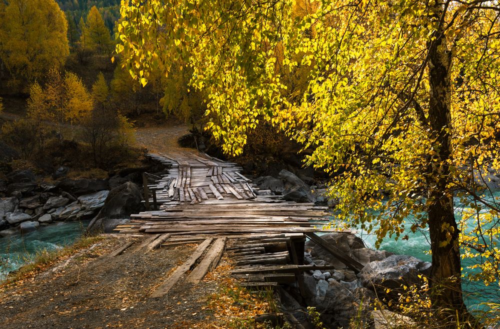 Photograph by Олег