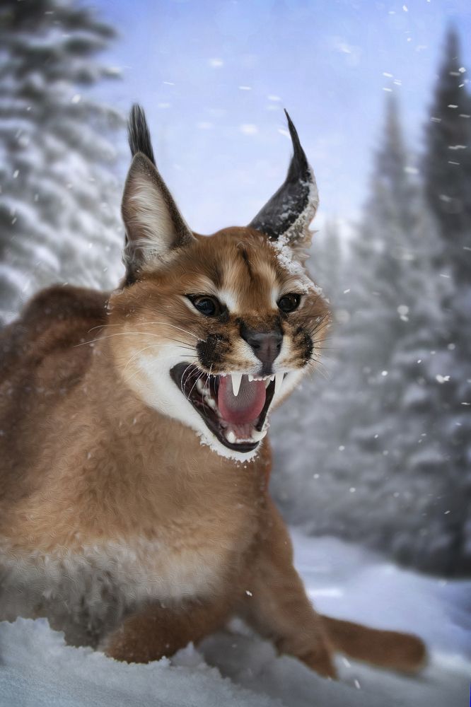 Photograph by Алена Райфутдинова