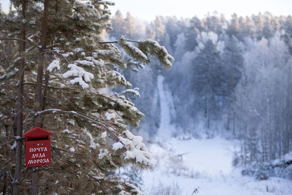 Photograph by Елена Рюмкина