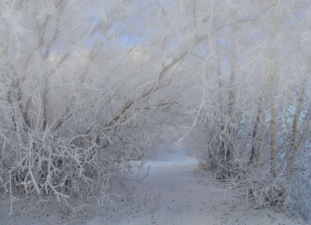 Photograph by Ирина Александрович