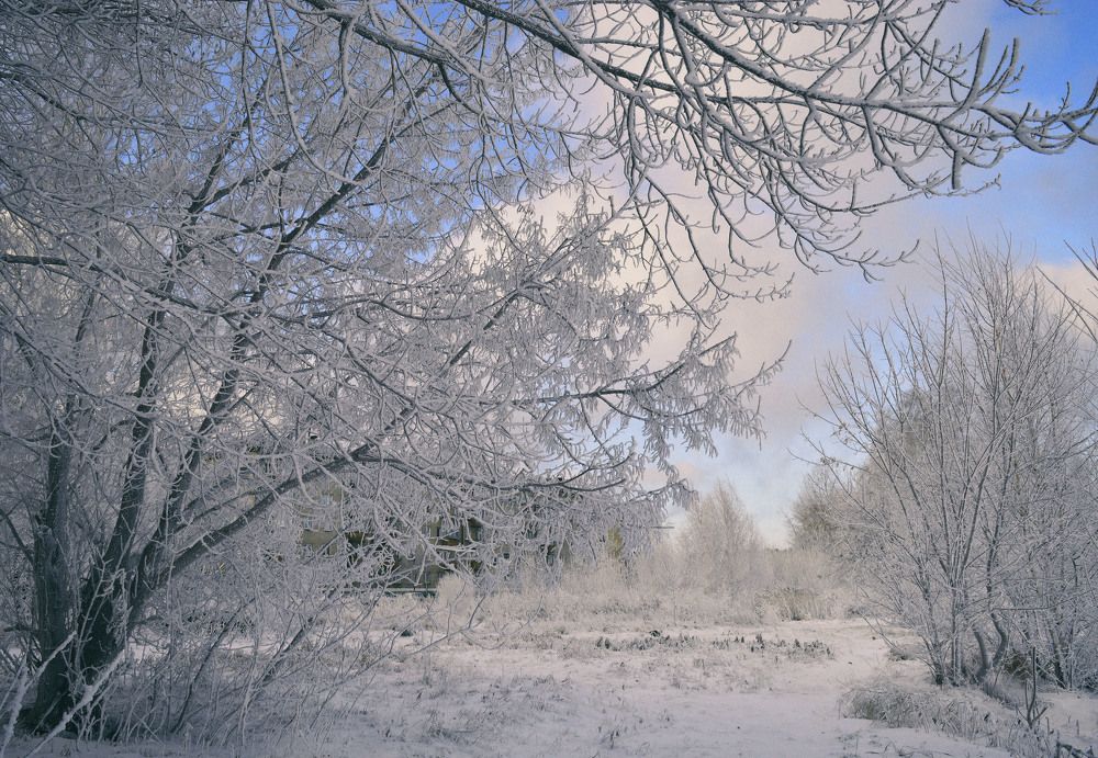 Photograph by Ирина Александрович