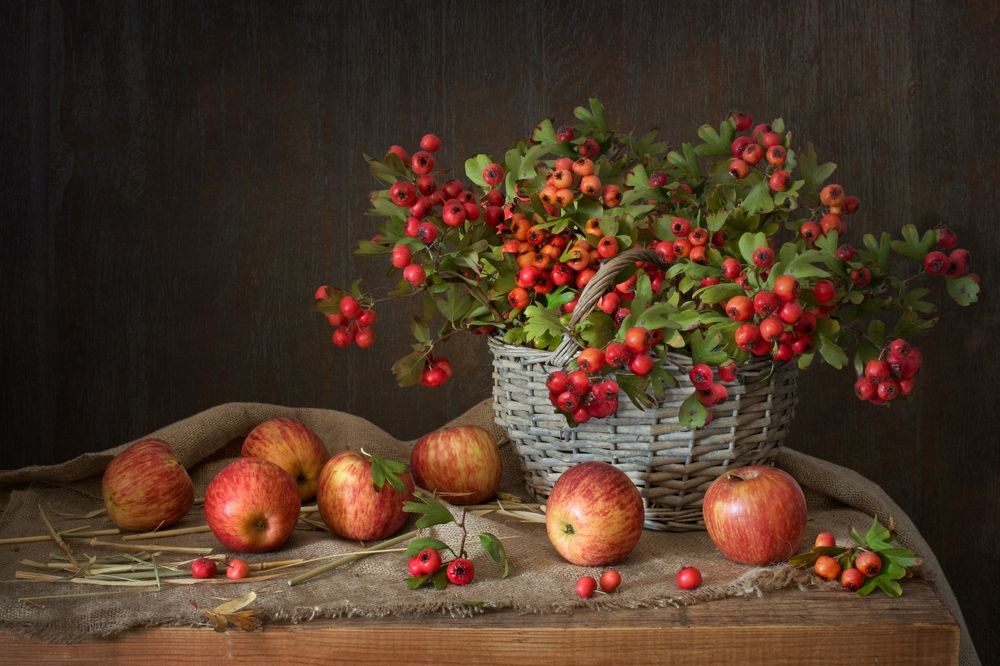 Photograph by Людмила Бекман