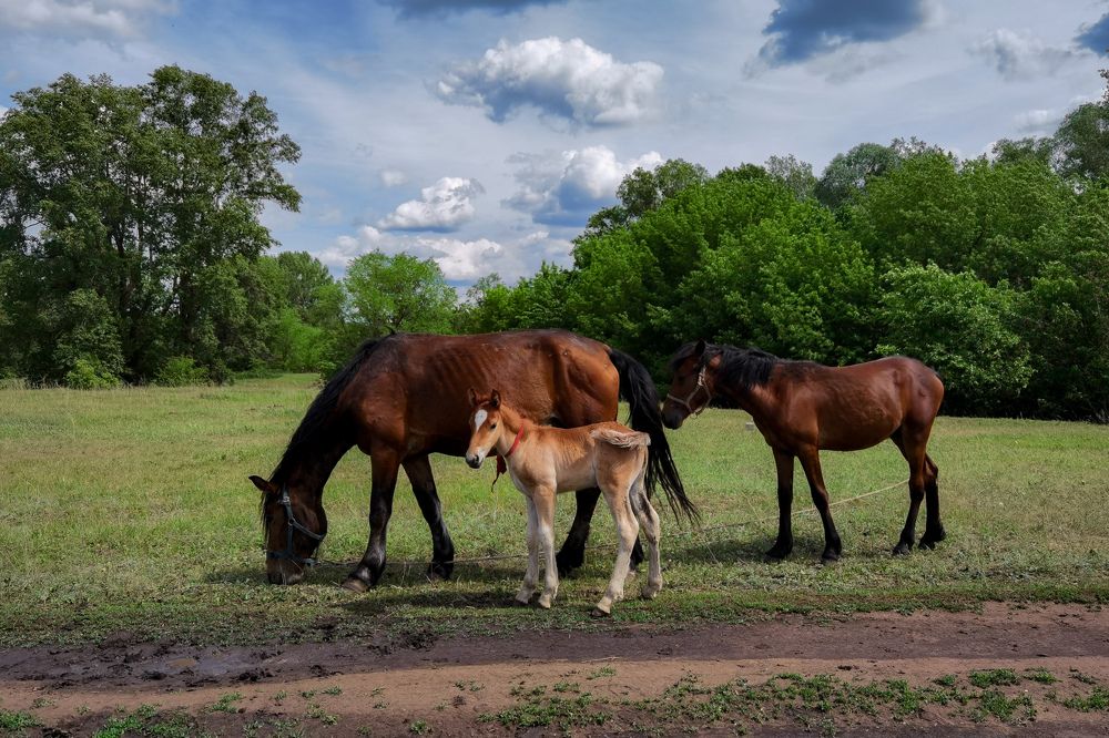 Photograph by Сергей Горбунов