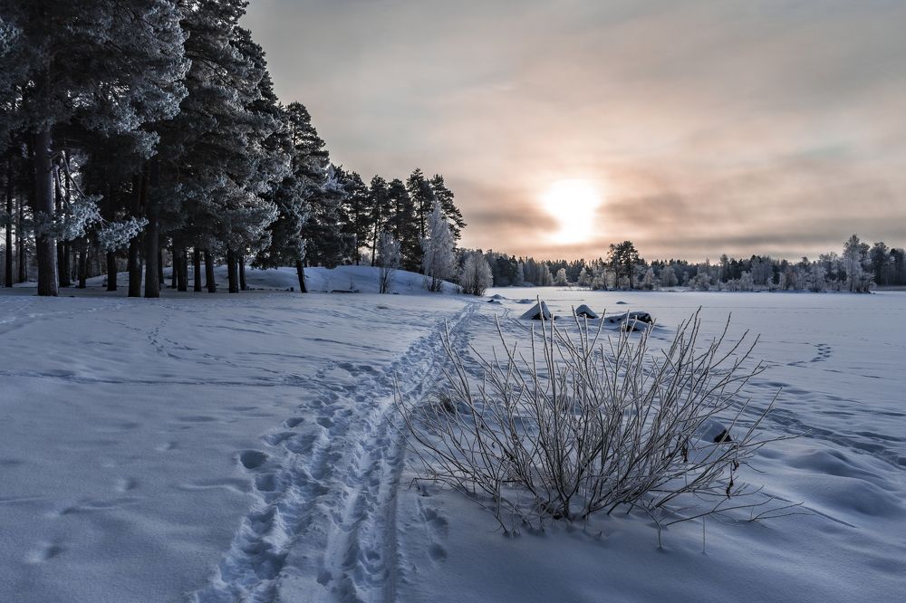 Photograph by Максим Сорокин