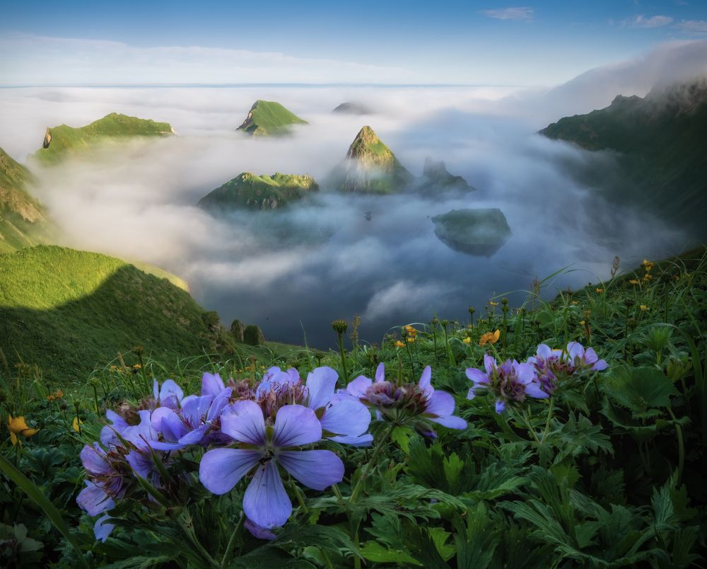 Остров Янкича.