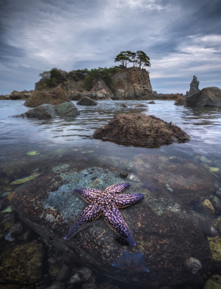 Японское море.