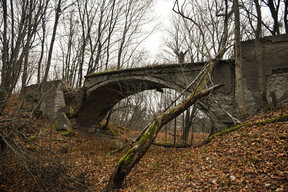 Photograph by Андрей Боиц