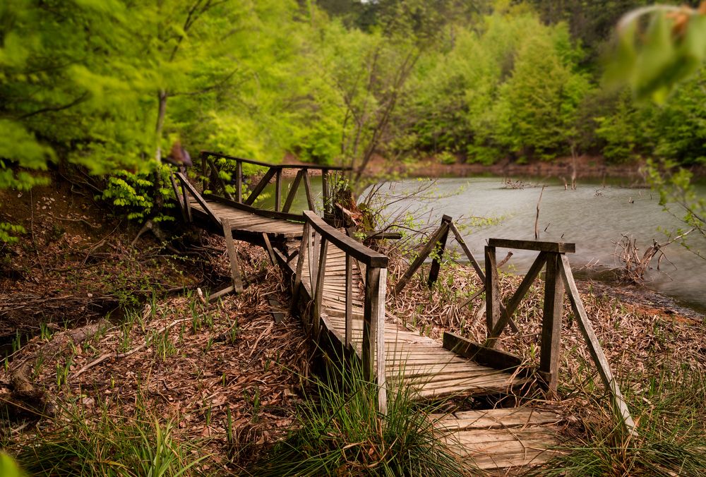 Photograph by Berin Aydin