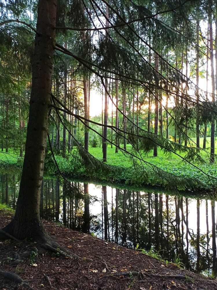 Photograph by Ксения Щеголева