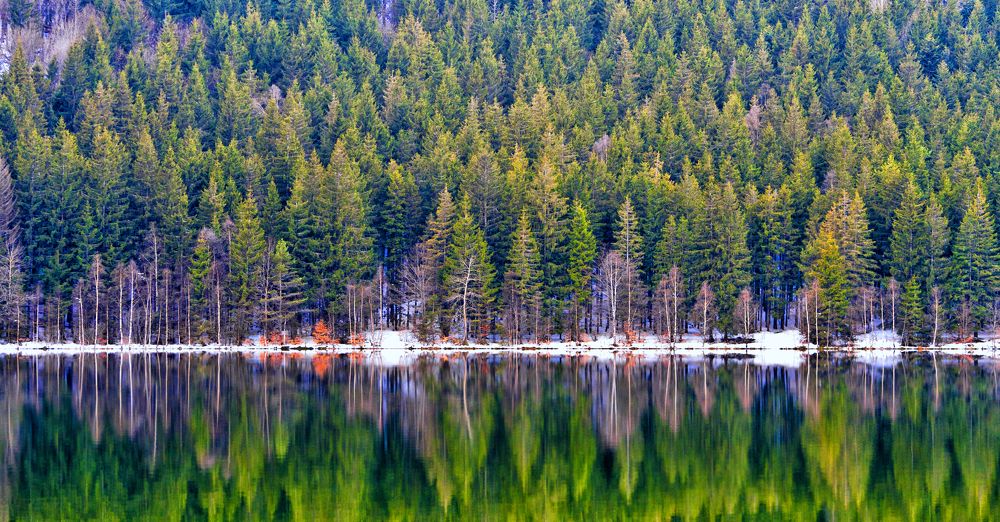 Photograph by Mihai Romeo Bogdan