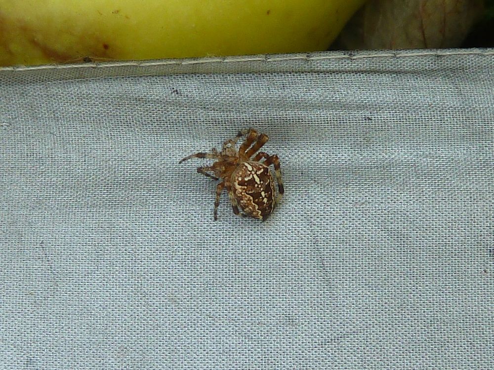 Фотография автора Клавдия Васильева