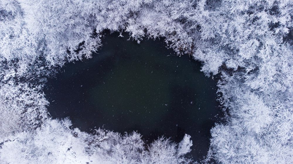 Photograph by Madalin Giurgescu