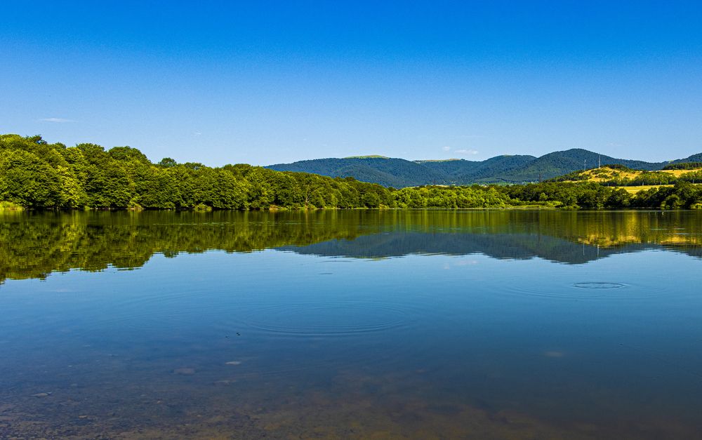 Photograph by Alex Kalpus