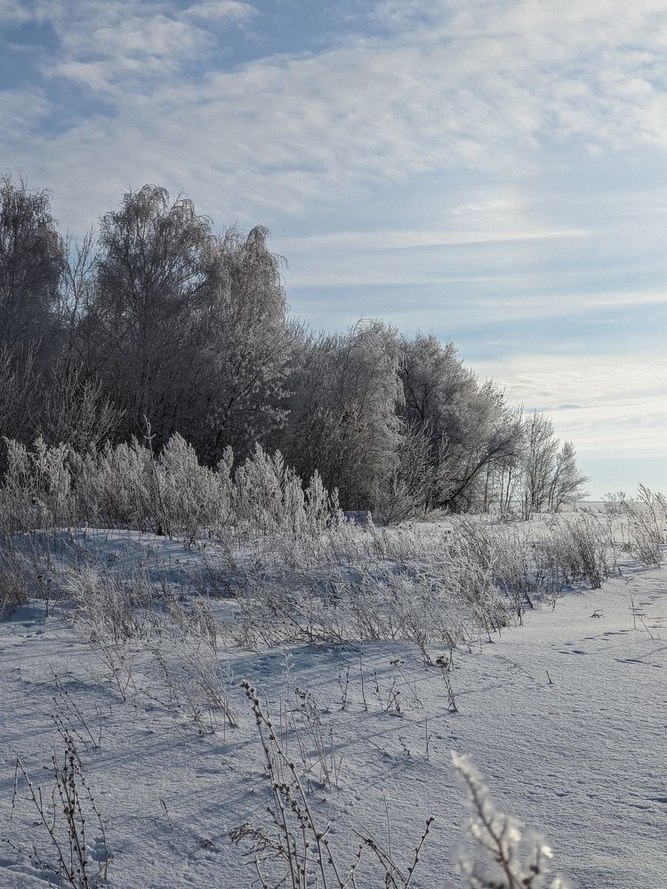 Photo #6958894
