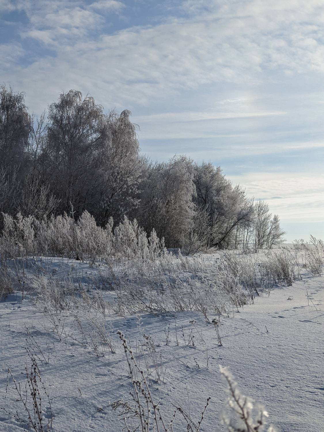 Photo #6958894