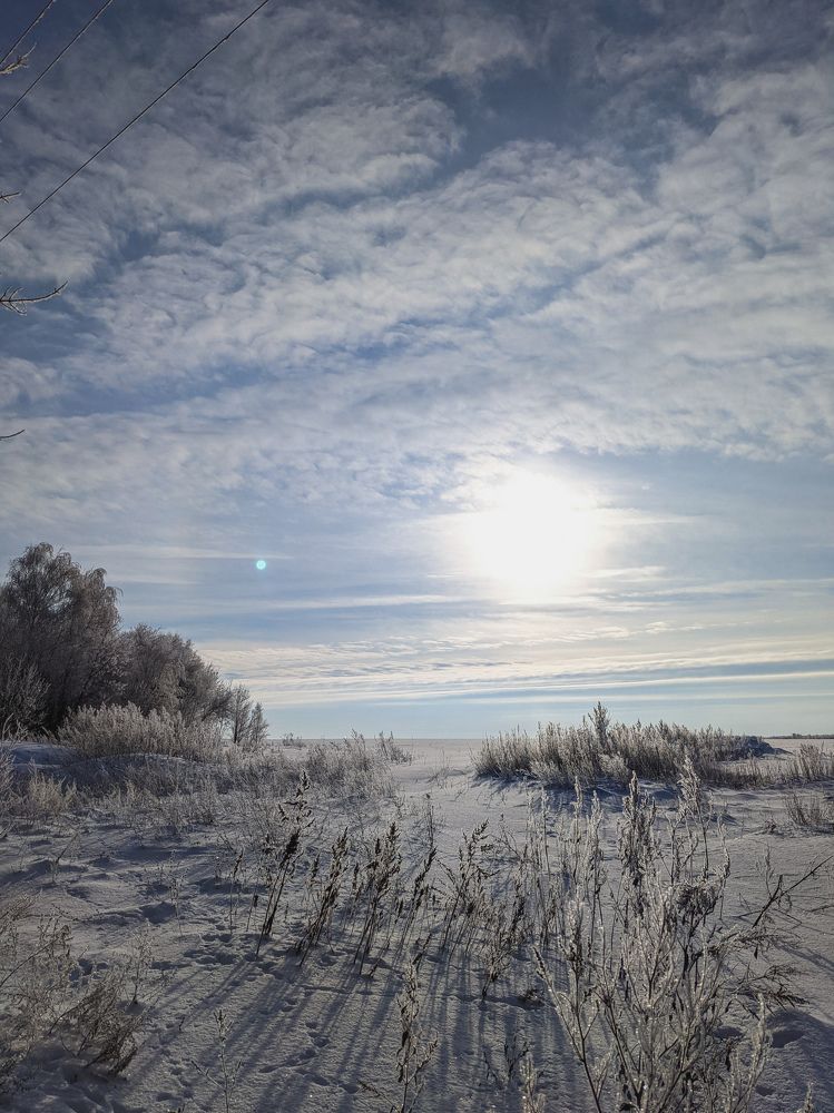 Photo #6958904